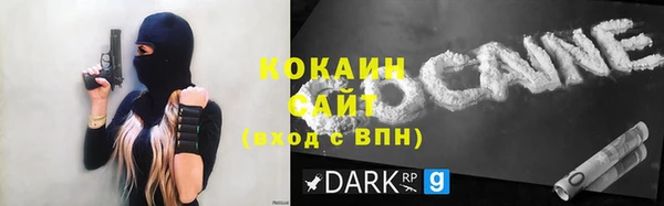 ГАЛЛЮЦИНОГЕННЫЕ ГРИБЫ Няндома