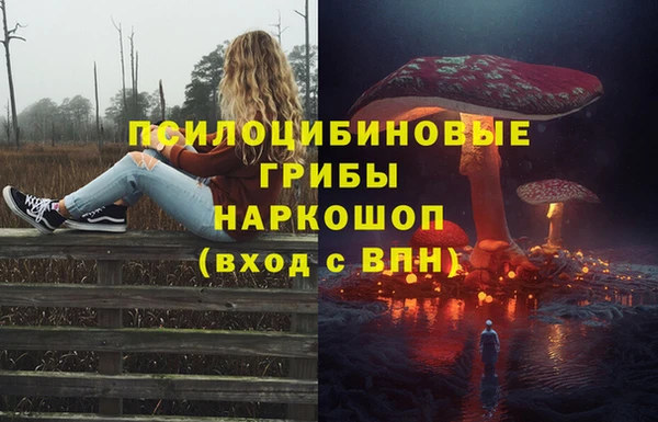 герыч Осташков