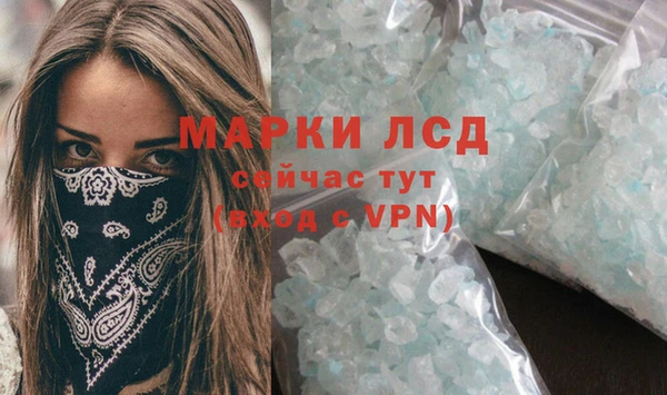 ГАЛЛЮЦИНОГЕННЫЕ ГРИБЫ Няндома