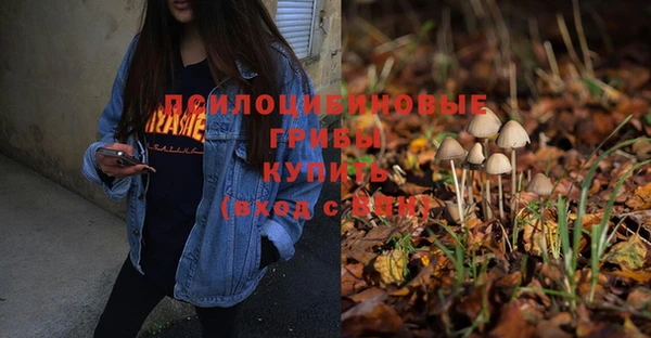 экстази Осинники