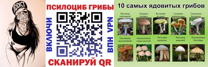 Псилоцибиновые грибы ЛСД  Киреевск 